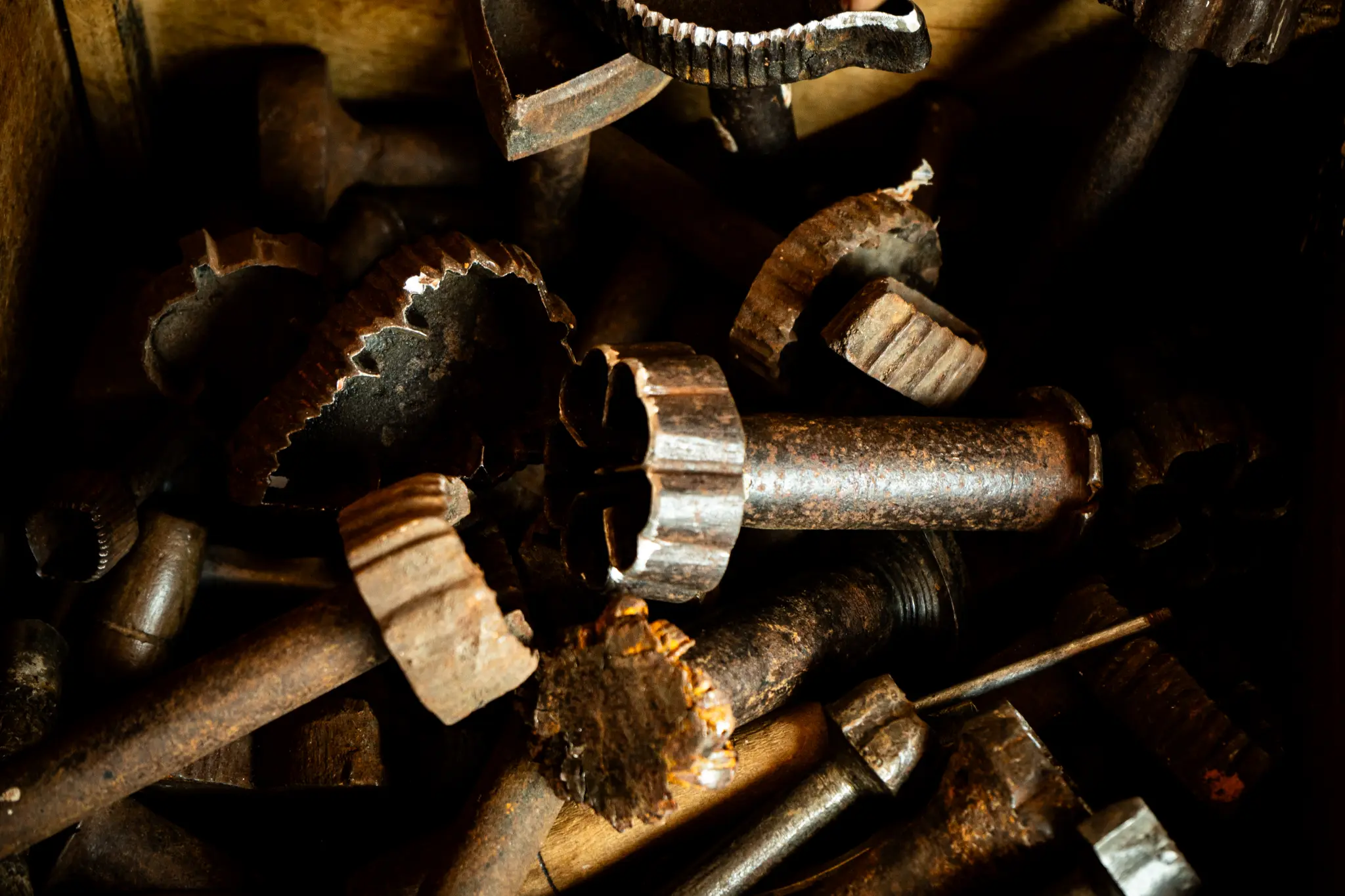 Imagem Aleatória 7 - Palma Barroca